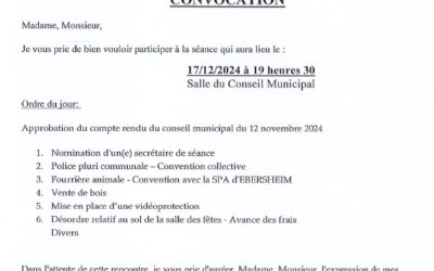 ANNULE ET REMPLACE – CONSEIL MUNICIPAL DU 17/12/2024 A 19H30